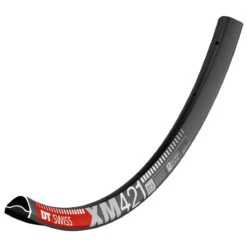DT SWISS XM 421 - Endubikes
